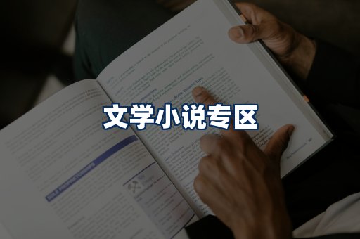 文学小说PDF展示